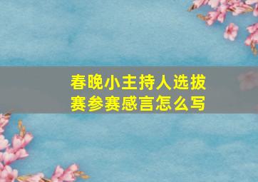 春晚小主持人选拔赛参赛感言怎么写