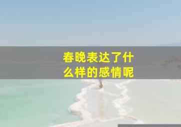 春晚表达了什么样的感情呢