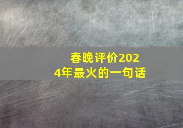 春晚评价2024年最火的一句话