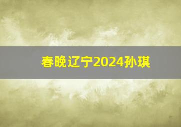 春晚辽宁2024孙琪