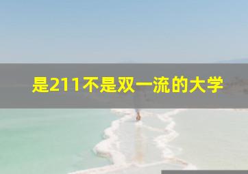 是211不是双一流的大学