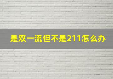 是双一流但不是211怎么办