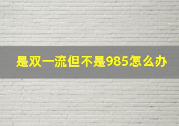 是双一流但不是985怎么办