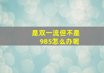 是双一流但不是985怎么办呢