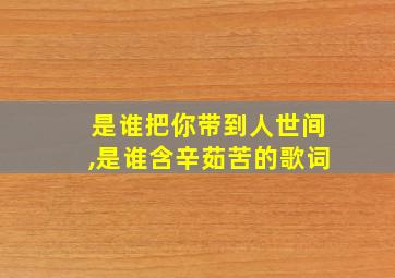 是谁把你带到人世间,是谁含辛茹苦的歌词