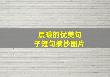 晨曦的优美句子短句摘抄图片