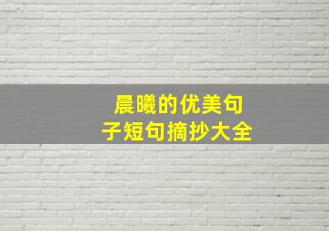 晨曦的优美句子短句摘抄大全