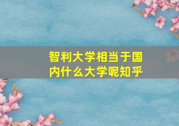 智利大学相当于国内什么大学呢知乎