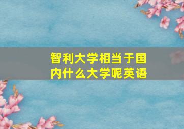 智利大学相当于国内什么大学呢英语