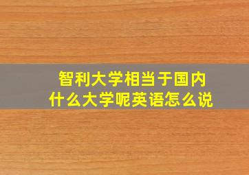 智利大学相当于国内什么大学呢英语怎么说