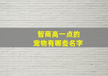 智商高一点的宠物有哪些名字