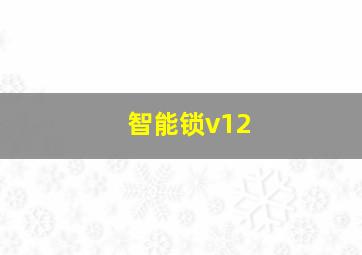 智能锁v12