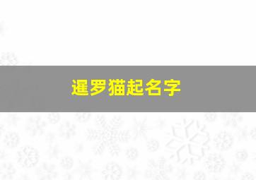 暹罗猫起名字