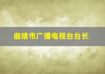 曲靖市广播电视台台长