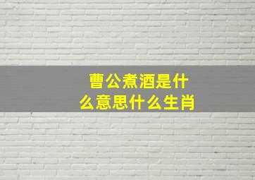 曹公煮酒是什么意思什么生肖