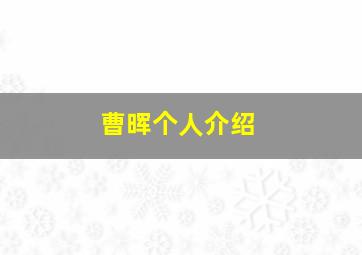 曹晖个人介绍