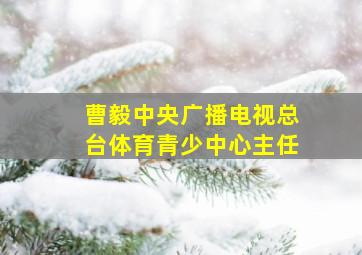 曹毅中央广播电视总台体育青少中心主任