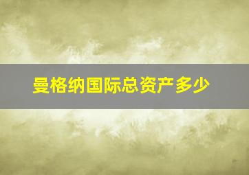 曼格纳国际总资产多少