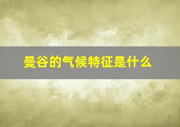 曼谷的气候特征是什么