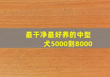 最干净最好养的中型犬5000到8000