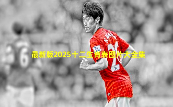 最新版2025十二生肖表图片大全集