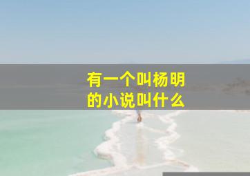 有一个叫杨明的小说叫什么