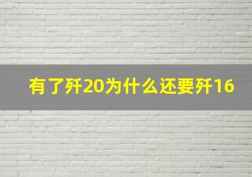 有了歼20为什么还要歼16