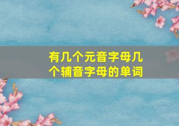 有几个元音字母几个辅音字母的单词