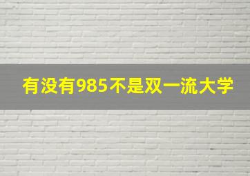 有没有985不是双一流大学