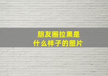 朋友圈拉黑是什么样子的图片