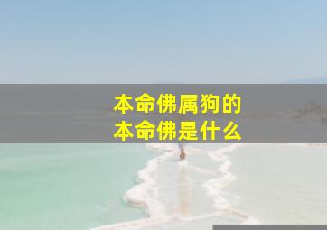 本命佛属狗的本命佛是什么