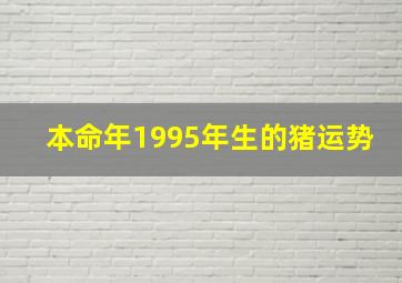 本命年1995年生的猪运势