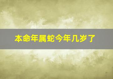 本命年属蛇今年几岁了