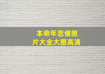 本命年悲催图片大全大图高清