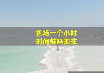 机场一个小时时间够吗现在