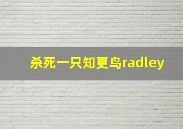 杀死一只知更鸟radley