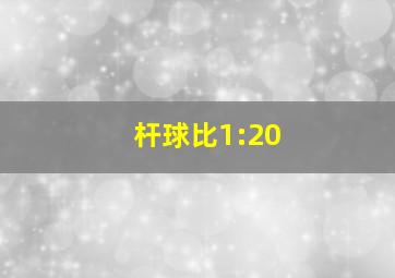 杆球比1:20