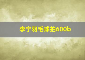 李宁羽毛球拍600b