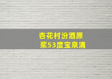 杏花村汾酒原浆53度宝泉涌