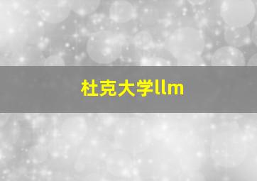 杜克大学llm