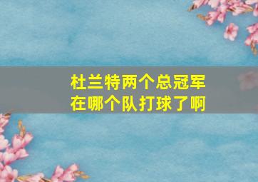 杜兰特两个总冠军在哪个队打球了啊