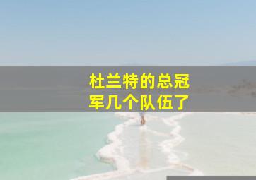 杜兰特的总冠军几个队伍了