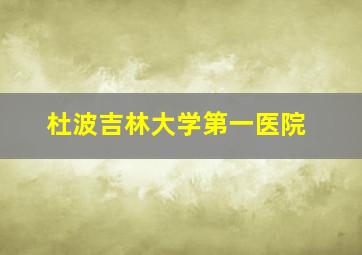 杜波吉林大学第一医院