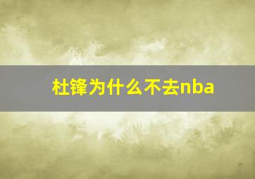 杜锋为什么不去nba