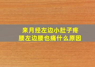 来月经左边小肚子疼腰左边腰也痛什么原因