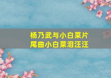 杨乃武与小白菜片尾曲小白菜泪汪汪