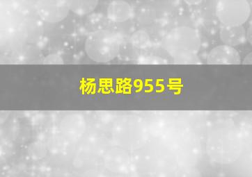 杨思路955号