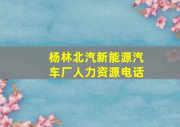 杨林北汽新能源汽车厂人力资源电话