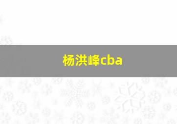 杨洪峰cba