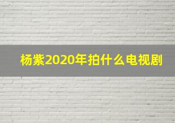 杨紫2020年拍什么电视剧